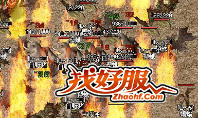 ڴ渱õྭ?