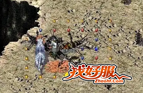 ���װ����������������ѡ��