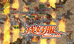 zhaohf