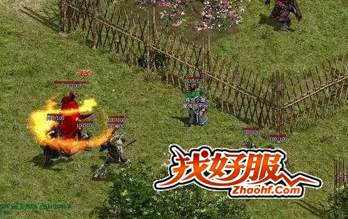 小心这些蜘蛛!你的血条在哪里掉的?